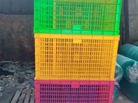 Bán sóng nhựa hở 8 bánh xe, 5 bánh, 26 bánh xe đựng hàng Bán sóng nhựa hở 8 bánh xe, 5 bánh, 26 bánh xe đựng hàng