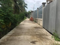 Bán đất xã Phong nẩm, Giồng trôm, Bến Tre Bán đất xã Phong nẩm, Giồng trôm, Bến Tre