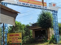Bán đất mặt tiền đường DH tân phước ,đồng phú,bình phước Bán đất mặt tiền đường DH tân phước ,đồng phú,bình phước