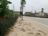 Bán Đất Đầu Tư Yên Phong 105m2 Giá Chỉ 2,x Tỷ. LH ngay Bán Đất Đầu Tư Yên Phong 105m2 Giá Chỉ 2,x Tỷ. LH ngay