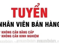 Cần bổ sung 02 nhân viên bán hàng không cần kinh nghiệm Cần bổ sung 02 nhân viên bán hàng không cần kinh nghiệm