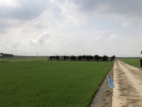 Bán Gấp Đất Nhơn Trạch Đồng Nai - Tam Giác Vàng Bán Gấp Đất Nhơn Trạch Đồng Nai - Tam Giác Vàng