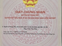 Mặt Tiền Nhựa Nhánh Cây Da đường Xuân Trường - Suối Cao . 1011m2 Mặt Tiền Nhựa Nhánh Cây Da đường Xuân Trường - Suối Cao . 1011m2