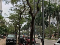 Cần bán cc 7A lê đức thọ 76m2, 2 ngủ, chỉ hơn 1 tỷ, sđcc Cần bán cc 7A lê đức thọ 76m2, 2 ngủ, chỉ hơn 1 tỷ, sđcc