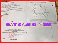 Bán Khẩn Cấp Lô Đất 19000m Sân Bay Quốc Tế Long Thành Đã Có Thổ Cư Bán Khẩn Cấp Lô Đất 19000m Sân Bay Quốc Tế Long Thành Đã Có Thổ Cư