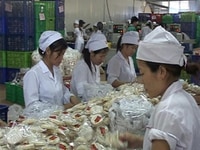 Siêu thị mi ni đang cần tuyển LĐPT nam nữ đi làm ngay Siêu thị mi ni đang cần tuyển LĐPT nam nữ đi làm ngay