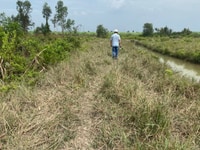 Bán gấp đất Nhơn Trạch Đồng Nai - Tam giác vàng Bán gấp đất Nhơn Trạch Đồng Nai - Tam giác vàng