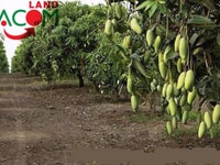 Bán đất 5114m2 gần Chợ Phú Lý, Phú Lý, Vĩnh Cửu, Đường nhựa 2 oto. 3,5 Bán đất 5114m2 gần Chợ Phú Lý, Phú Lý, Vĩnh Cửu, Đường nhựa 2 oto. 3,5