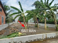 Đất thổ cư 9x22m Tân Long, Tân Tạo Chợ Đệm Đất thổ cư 9x22m Tân Long, Tân Tạo Chợ Đệm