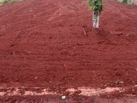 Đất Xã Long Tân,H. Đất Đỏ, Tỉnh BR-VT. Đất Xã Long Tân,H. Đất Đỏ, Tỉnh BR-VT.