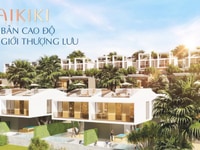 Waikiki - Tuyệt phẩm thiên nhiên, độc bản độ cao Waikiki - Tuyệt phẩm thiên nhiên, độc bản độ cao