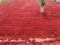 Đất Long Tân huyện Đất Đỏ giá hời dịp tết Đất Long Tân huyện Đất Đỏ giá hời dịp tết