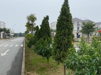 Centa riverside chính thức mở bán, cơ hội siêu hời cho các nhà đầu tư Centa riverside chính thức mở bán, cơ hội siêu hời cho các nhà đầu tư