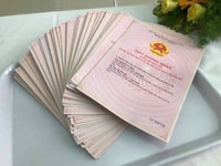 Đất tân hưng đồng phú có thổ cư sổ sẵn Đất tân hưng đồng phú có thổ cư sổ sẵn
