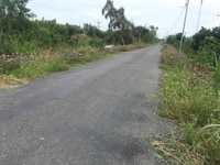 7,5công mặt tiền huyện lộ 40,Tân Hoà Đông,Tân Phước,Tiền Giang 7,5công mặt tiền huyện lộ 40,Tân Hoà Đông,Tân Phước,Tiền Giang