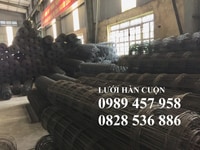 Bán lưới đổ bê tông phi 4 ô 50x50, 100x100, 200x200, 250x250 Bán lưới đổ bê tông phi 4 ô 50x50, 100x100, 200x200, 250x250