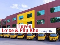 Tuyển dụng vị trí Tài Xế Phụ Xe Phụ theo xe tải giao hàng(có sức khỏe) Tuyển dụng vị trí Tài Xế Phụ Xe Phụ theo xe tải giao hàng(có sức khỏe)