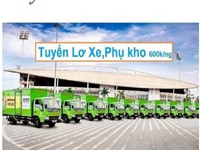 TUYỂN GẤP Lái Xe - Phụ Xe - Bốc Xếp nhận lương Tuần tại Bình Dương TUYỂN GẤP Lái Xe - Phụ Xe - Bốc Xếp nhận lương Tuần tại Bình Dương
