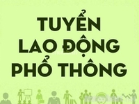 Cần Tuyển Lao Động Phổ Thông Bao Ăn Ở