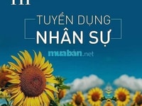 Bách hóa tuyển trực tiếp từ 20 - 60tuổi làm tại chỗ k.cần kinh nghiệm Bách hóa tuyển trực tiếp từ 20 - 60tuổi làm tại chỗ k.cần kinh nghiệm