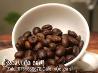 Chuyên sỉ cà phê mộc nguyên chất Hồ Chí Minh giao nhanh 24h Chuyên sỉ cà phê mộc nguyên chất Hồ Chí Minh giao nhanh 24h