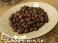 Cà phê mộc nguyên hạt Bình Dương Escovina giá bán sỉ giao hàng nhanh Cà phê mộc nguyên hạt Bình Dương Escovina giá bán sỉ giao hàng nhanh