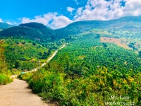 Đất nền nghỉ dưỡng ven Đà Lạt, ngay khu du lịch Đà Lạt mới Đất nền nghỉ dưỡng ven Đà Lạt, ngay khu du lịch Đà Lạt mới