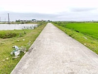Cần bán lô đất khu quy hoăch phú thanh huế Cần bán lô đất khu quy hoăch phú thanh huế