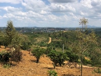 Đất thôn 16 Lộc Thành, Bảo Lâm - 4 sào ( 100m mặt tiền) - 1tỷ300/sào Đất thôn 16 Lộc Thành, Bảo Lâm - 4 sào ( 100m mặt tiền) - 1tỷ300/sào