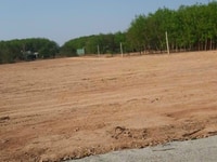 Đất sào 1000m2 Đồng Xoài Cụm CN Thành Phương, gần ngay đường mòn HCM Đất sào 1000m2 Đồng Xoài Cụm CN Thành Phương, gần ngay đường mòn HCM