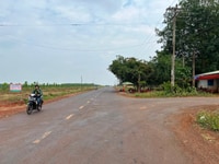 Bán Đất Xào Tại Phú Riềng Bình Phước Giá 420tr Bán Đất Xào Tại Phú Riềng Bình Phước Giá 420tr