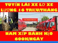 Bình Thuận Cần Tuyển Tài Xế Phụ Kho Và Lơ Xe Tải Lương 16tr/ Tháng Bình Thuận Cần Tuyển Tài Xế Phụ Kho Và Lơ Xe Tải Lương 16tr/ Tháng