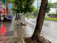 Cho thuê nhà mặt Phố Lạc Long Quân, 65m2, 4 tầng, 22 triệu Cho thuê nhà mặt Phố Lạc Long Quân, 65m2, 4 tầng, 22 triệu