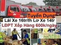 Tuyển Nhân Viên Tài Xế, Lơ Xe, Phụ Kho 16tr/tháng Tại An Giang Tuyển Nhân Viên Tài Xế, Lơ Xe, Phụ Kho 16tr/tháng Tại An Giang