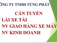 Công ty TNHH Tùng Phát tuyển lái xe tải 1,25t đi làm ngay Công ty TNHH Tùng Phát tuyển lái xe tải 1,25t đi làm ngay