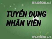 Cần tuyển dụng kế toán văn phòng cho chi nhánh mới Cần tuyển dụng kế toán văn phòng cho chi nhánh mới