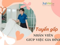 Cầu Giấy, Nam Từ Liêm - Tuyển nữ giúp việc ca tối cố định Cầu Giấy, Nam Từ Liêm - Tuyển nữ giúp việc ca tối cố định