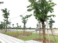 Cần bán đất biển Quy Nhơn, gần Quảng Trường biển, giá rẻ siêu đầu tư Cần bán đất biển Quy Nhơn, gần Quảng Trường biển, giá rẻ siêu đầu tư