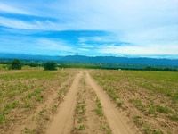 Cần bán lô sảnh rồng mặt tiền đường, nở hậu Cần bán lô sảnh rồng mặt tiền đường, nở hậu