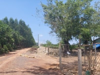 Bán vườn xoài 1100m2, nở hậu, sổ hồng riêng, đường thông, lộ giới 25m. Bán vườn xoài 1100m2, nở hậu, sổ hồng riêng, đường thông, lộ giới 25m.