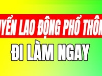 Cần tuyển gấp nam nữ LĐPT làm tại các siêu thị mini. Cần tuyển gấp nam nữ LĐPT làm tại các siêu thị mini.