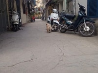 Bán nhà Tân Mai- Q.Hoang Mai 82m2x2t giá 6,25ty .10m ra oto đỗ Bán nhà Tân Mai- Q.Hoang Mai 82m2x2t giá 6,25ty .10m ra oto đỗ