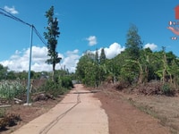 Bán đất gấp 2169.7m2,Sổ Hồng, giá 5,8 tỷ, xã Sông Nhạn - Cẩm Mỹ , ĐN Bán đất gấp 2169.7m2,Sổ Hồng, giá 5,8 tỷ, xã Sông Nhạn - Cẩm Mỹ , ĐN