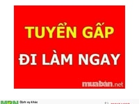 LĐPT> cần gấp 06 nam nữ phụ kho LĐPT> cần gấp 06 nam nữ phụ kho