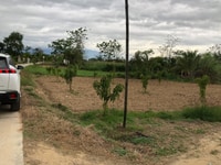 180m2 đất Phú Sơn, Ninh Trung giá chỉ 550 triệu 180m2 đất Phú Sơn, Ninh Trung giá chỉ 550 triệu