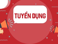 Tuyển nhân viên bán hàng tư vấn hàng Tuyển nhân viên bán hàng tư vấn hàng