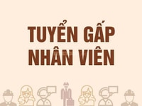 Tuyển nhân viên thu ngân bán hàng tại quầy Tuyển nhân viên thu ngân bán hàng tại quầy