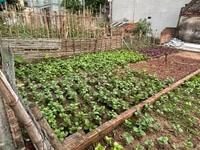 Bán gấp mảnh đất Đức Thượng Hoài Đức, 41m2, Cách Ô tô 15m, chỉ 1.5 tỷ Bán gấp mảnh đất Đức Thượng Hoài Đức, 41m2, Cách Ô tô 15m, chỉ 1.5 tỷ