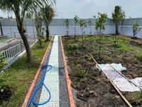 Bán đất vườn đường đá 3,5m, cách đường chuẩn bị lên nhựa 80m Bán đất vườn đường đá 3,5m, cách đường chuẩn bị lên nhựa 80m