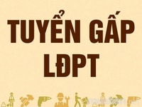 Tuyển gấp nhân viên - Tạp vụ , dọn dẹp và lau chùi Tuyển gấp nhân viên - Tạp vụ , dọn dẹp và lau chùi